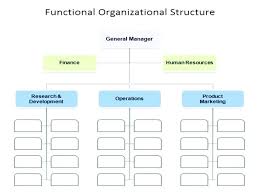 Management Structure Template Globalforex Info