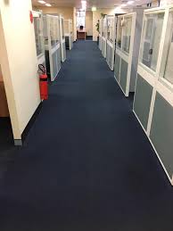 carpet cleaning eastern suburbs sydney nsw