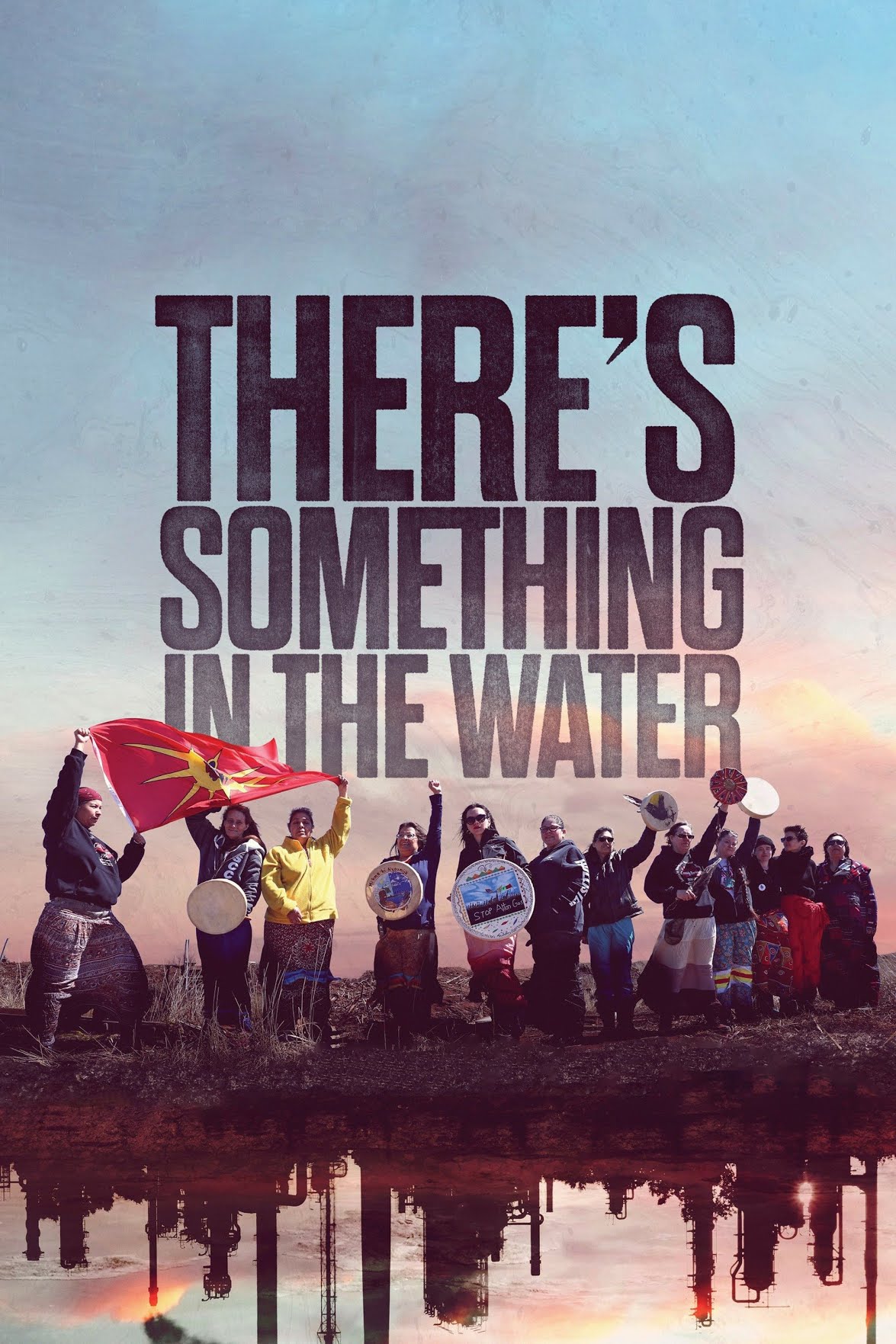 Cover of "There's Something in the Water" film