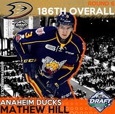 Barrie Colts Defenseman Mathew Hill Drafted 186th Overall By
