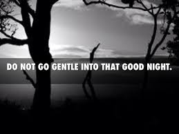 do not go gentle into that good night by brett hilberg do not go gentle into that good night