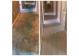 get green carpet cleaning in hartford