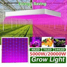 Best light spectrum for growing plants. Buy 8000w Led Grow Light Hydroponic Full Spectrum Indoor Plant Flower Growing Bloom At Affordable Prices Free Shipping Real Reviews With Photos Joom