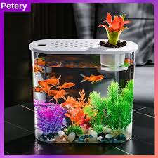 Petery Aquaponic Planter Aquarium Betta