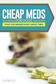 Compare the best prices, big discount coupons! Discount Pet Meds Canada Off 74 Www Usushimd Com