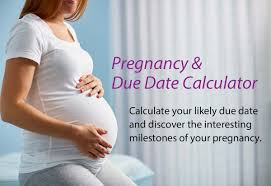 Pregnancy Due Date Calculator How Far Along Am I