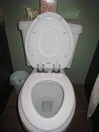 Toilet Seat Insert For Potty Training