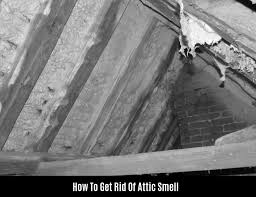 how to get rid of attic smell