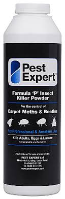 pest expert formula p carpet beetle
