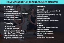 home workout plan to build muscle