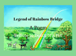 The rainbow bridge poems speak of a belief in a special place where our pets go to heal and be made whole again, where they can run, play and be free. Legend Of Rainbow Bridge Poem Tribute To Death Of A Pet