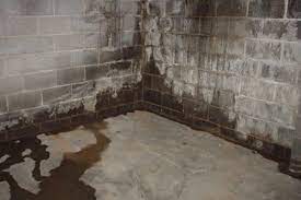 damp basement causes solutions and