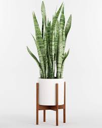 A good indoor plant pot can make watering easier and help decorate your home or office. 20 Best Indoor Planters Stylish Indoor Plant Pots