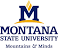 Image of What is the acceptance rate for Montana State University?
