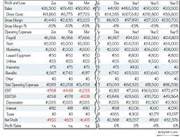 Standard Business Plan Financials Projected Profit And Loss