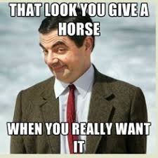 Horse Meme on Pinterest | Horses, Funny Horses and Horse Humor via Relatably.com