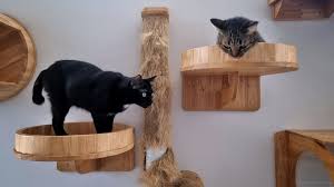 Tips When Installing A Built In Cat Tree