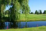 Home - Shamrock Golf Course