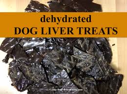 liver dog treats by donna healthy