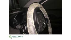 mould removal from car melbourne vic