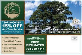 Specials Jl Tree Service