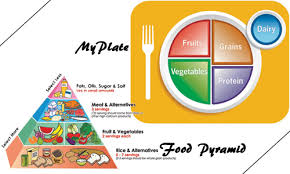 The Myplate Food Chart Y101fm