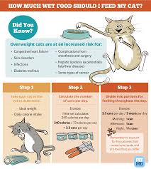 5 cat feeding guide / chart. Calculating How Much Wet Food To Feed A Cat Guide Kitten Food Cat Food Dry Cat Food