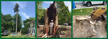 Maybe you would like to learn more about one of these? Gem City Tree Removal Gem City Services