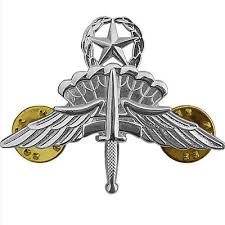 genuine u s army badge free fall