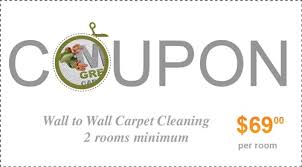 carpet cleaning mr green