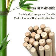 bamboo plant stakes indoor outdoor