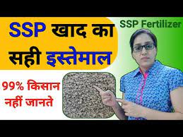 single super phosp fertilizer
