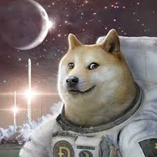 48+ hd doge wallpaper on wallpapersafari. Blockworks On Twitter Just In Spacex Announces Doge 1 Mission Launching A Rocket To The Moon That Will Be Fully Funded By Doge Https T Co Sjuq3h61tu Twitter