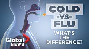 Flu Forecast 2019 Heres What To Expect From This Years