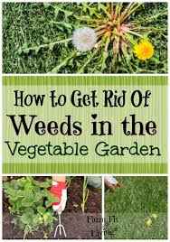 get rid of weeds in vegetable gardens
