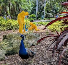 Lego Exhibit At Flamingo Gardens In