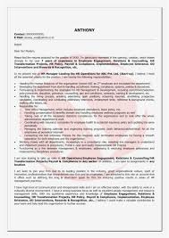 Fancy Letters Copy And Paste Examples Free Cover Letter Templates