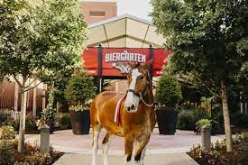 the biergarten at anheuser busch