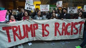 Image result for trump protests