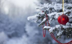 Image result for christmas tree in snow