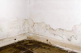 Water Damage Restoration Cost