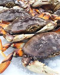 clean and shake dungeness crab