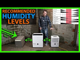 Should I Replace My Old Dehumidifier