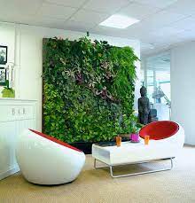 Green Walls How To Create A Living