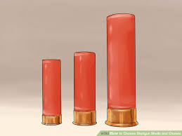 How To Choose Shotgun Shells And Chokes 12 Steps With