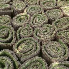 lawn gr carpet lawn gr carpet