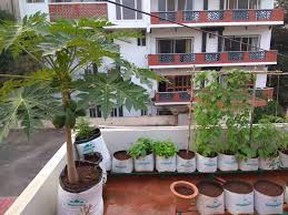 Plant Grow Bags Types Uses For