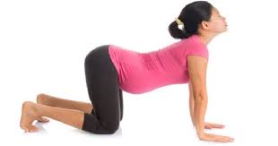 gas during pregnancy yoga poses to