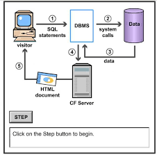Relational database management system   Wikipedia 