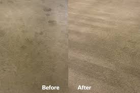 carpet cleaner al in victoria bc by
